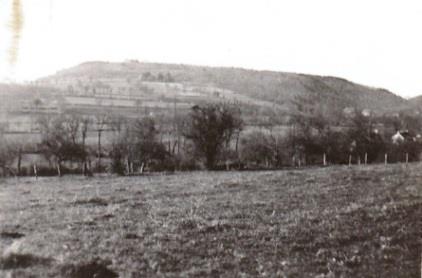 A field with trees and rising ground in the distance, reproduced as a crash-site photograph.